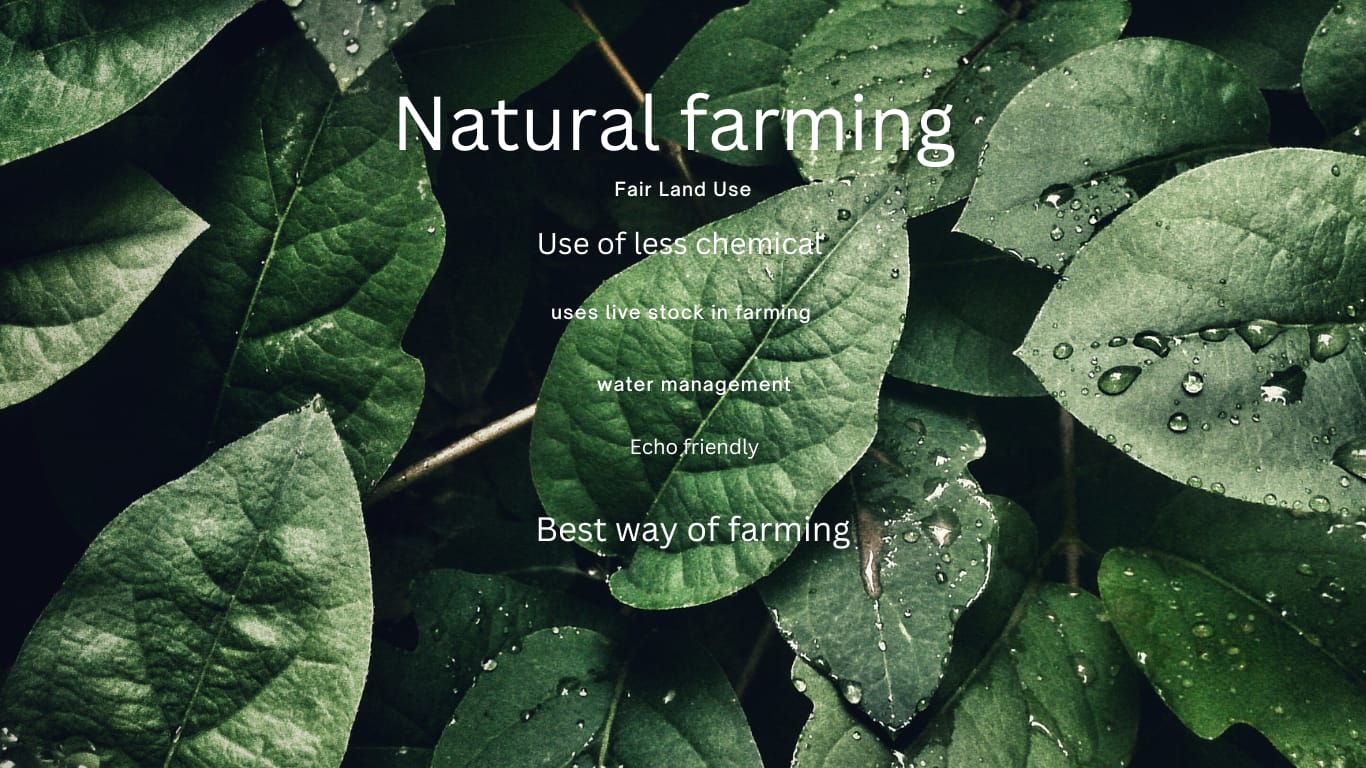 NATURAL FARMING PROCESS